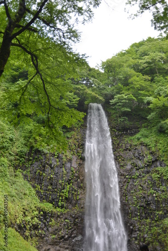 夏の滝