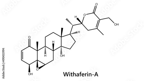 Withaferin A is a steroidal lactone, derived from Acnistus arborescens, Withania somnifera and other members of family Solanaceae. It has been traditionally used in ayurvedic medicine. Aswagandha photo
