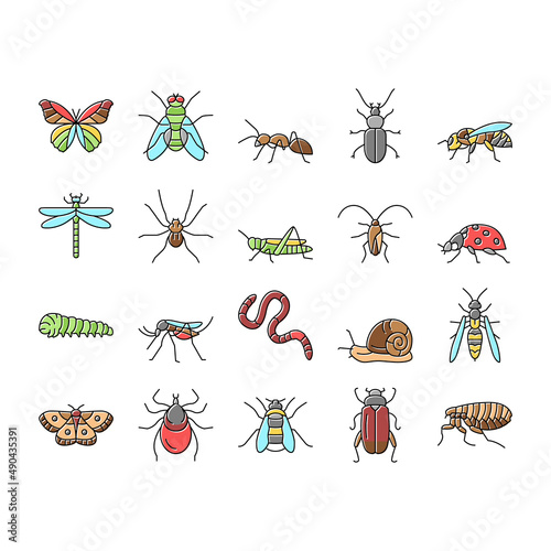 Insect, Spider And Bug Wildlife Icons Set Vector . © vectorwin