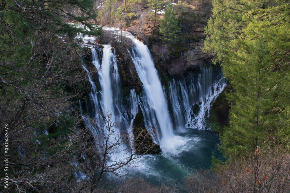 Fototapeta premium waterfall in the forest