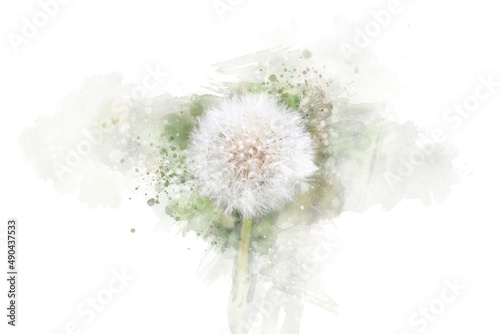 Dandelion flower with water color technique by Photoshop, image blank cleaning  copy space.