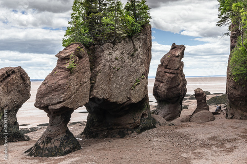 Muddy Bay of Fundy rock formations