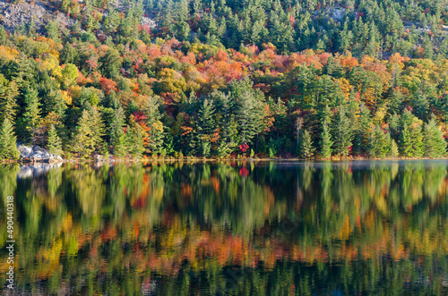 Sunrise above forest lake