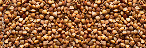 buckwheat abstract background. fresh buckwheat. dry buckwheat background. texture