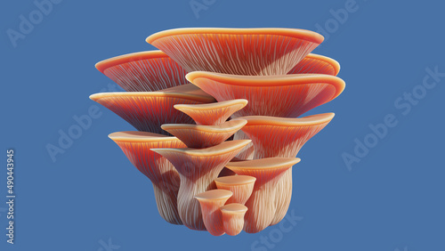 3D render of a stylized bouquet cluster of edible pink oyster mushrooms