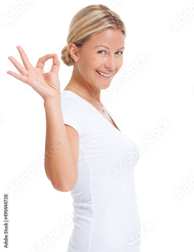 Your message is just perfect. Studio shot of an attractive woman giving you a hand signal for perfect against a white background.