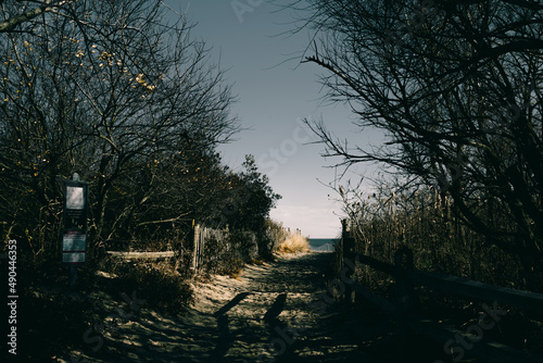 New Jersey Beach