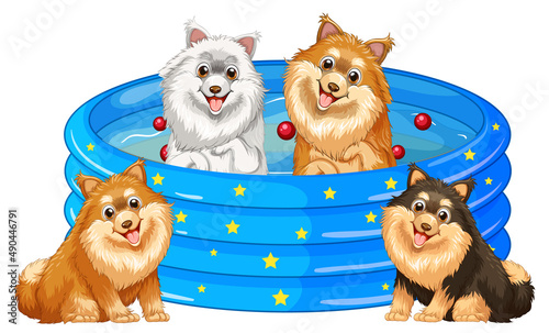 Four dogs playing in the pool