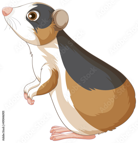 A Cute guinea pig on white background
