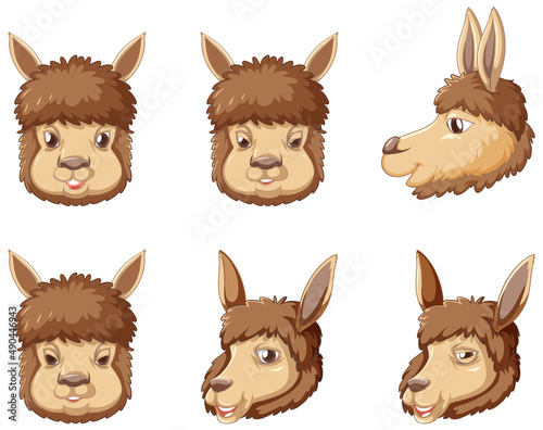 A set alpaca on white background