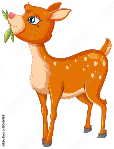 A cute deer on white background