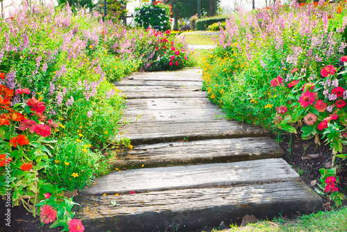 Fototapeta Naklejka Na Ścianę i Meble -  stone path in the flower garden