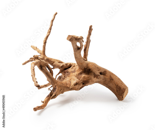 Driftwood placed on white background