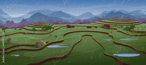 People work on rice fields in rain. Green paddy terraces and farm houses. Vector cartoon illustration of asian rural landscape with crop plantation on hills, village and mountains at rainy weather
