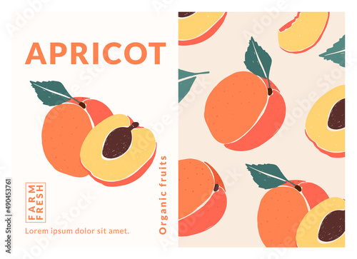 Apricot Label packaging design templates, Hand drawn style vector illustration.