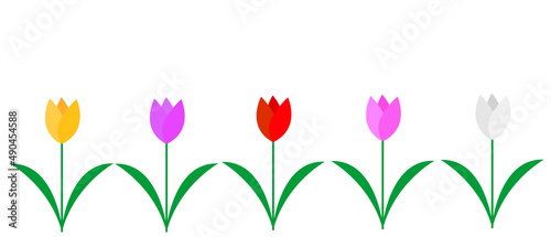 colorful tulips isolate on white background