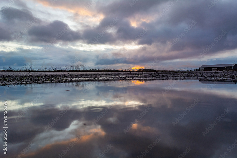 Fototapeta premium sunrise over the river