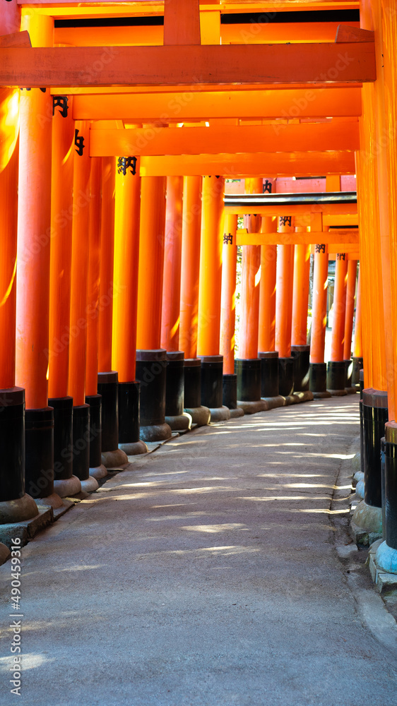 千本鳥居 千本鳥居