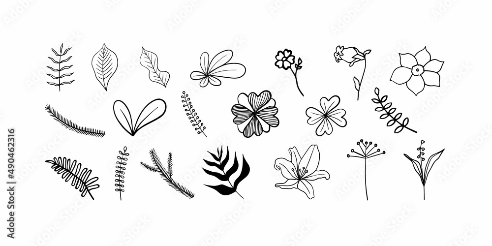 Organic leaves, flowers, plants. Set of trendy hand drawn elements. Vector. Organic leaves, flowers, plants. Set of trendy hand drawn elements. Vector.