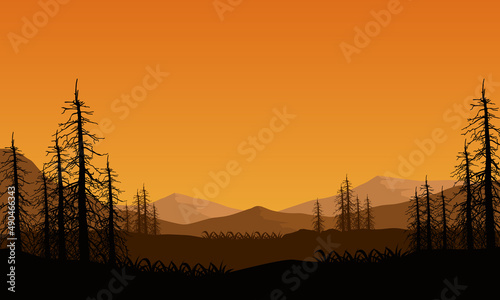 Stunning mountain view of the village at sunrise with an aesthetic silhouette of dry pine tree branches