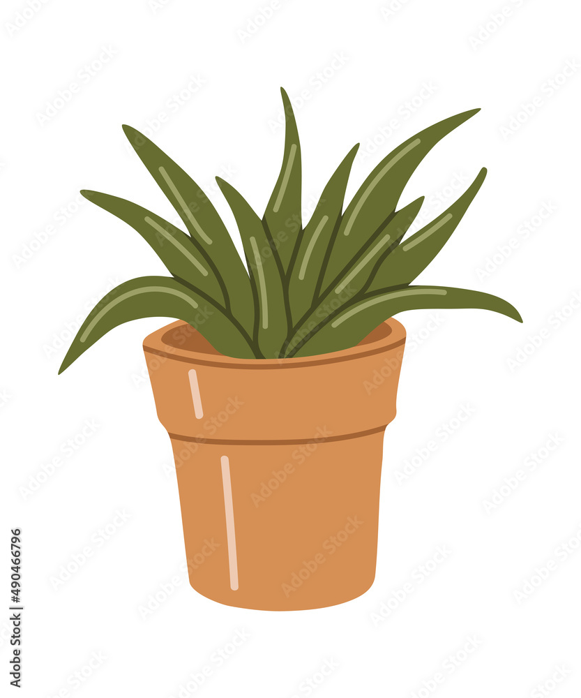 Vector isolated element. Flowers in a pot. Violet. Gardening. Springtime. Color image on a white background. The print is used for packaging design. Vector isolated element. Flowers in a pot. Violet. Gardening. Springtime. Color image on a white background. The print is used for packaging design.