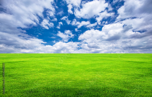 Green grass and blue sky and white clouds