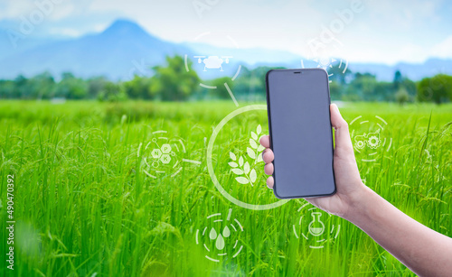 Smart farmer concept using smartphone in rice field and visual icon with modern technology application in rice fields production control  for smart  technology farm system.. photo