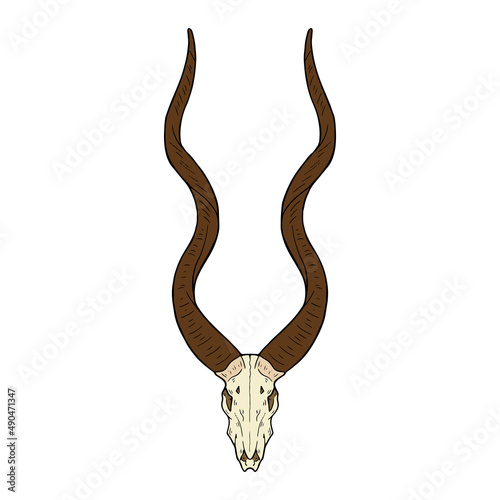 Vector animal skull. hand drawn illustration. Western style logo isolated on white