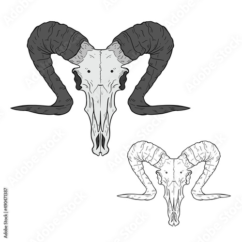 Vector animal skull. hand drawn illustration. Western style logo isolated on white
