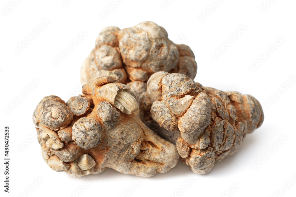 Dried herb, notoginseng roots isolated on white background