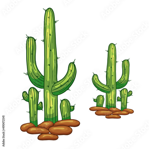 Vector hand drawn cactus isolated on white. Flay cartoon style illustration. Mexican cactus. Desert spiny plant, mexico cacti flower and tropical home plants.