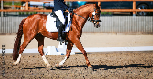 Horse dressage with rider at a trot during a competition..