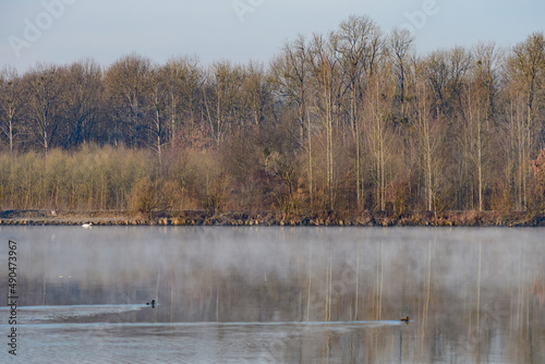 morning at the danube river near naarn, upper austria