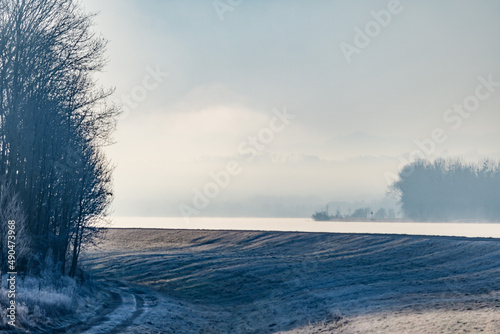 morning at the danube river near naarn  upper austria