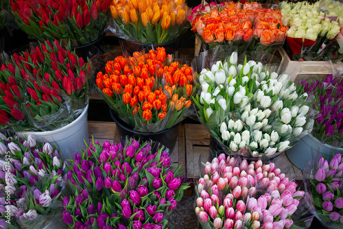 colorful tulips on a street market