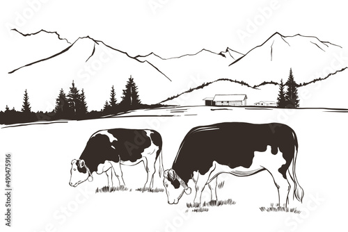 Rural mountain landscape with farm and cows in the pasture. Vector illustration in vintage hand drawn style 