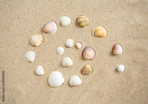 beautiful sea shells on sand