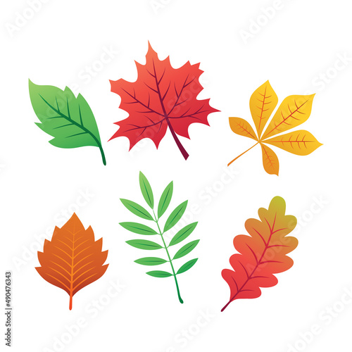 Autumn Leaves Collection in Vector