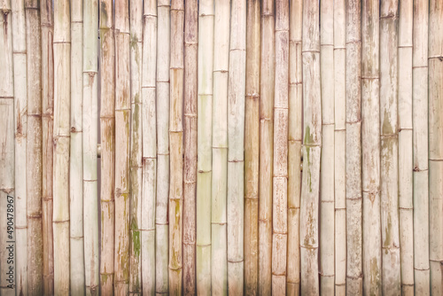 Fence wall bamboo wood vertical seamless patterns natural space on background