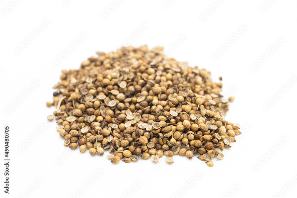 Coriander seeds placed on a white background Coriander seeds placed on a white background