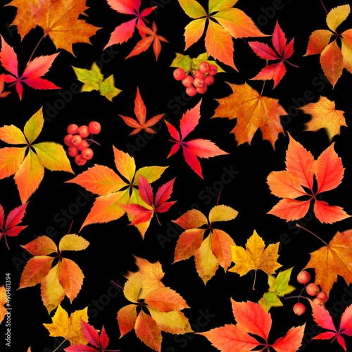 Fall season leaves pattern.