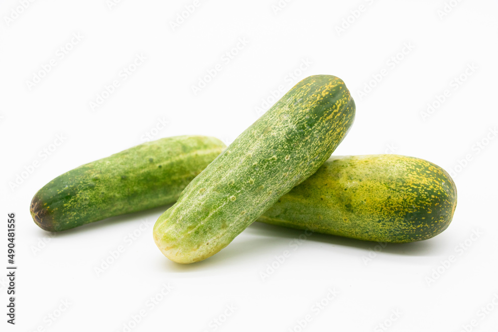 fresh green cucumber over on white background fresh green cucumber over on white background