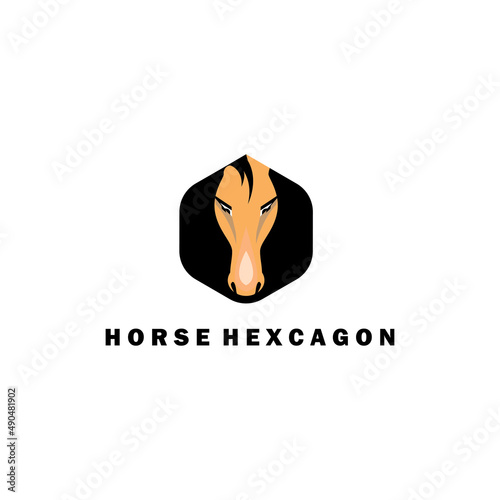 hexagon logo horse face illustration vector design