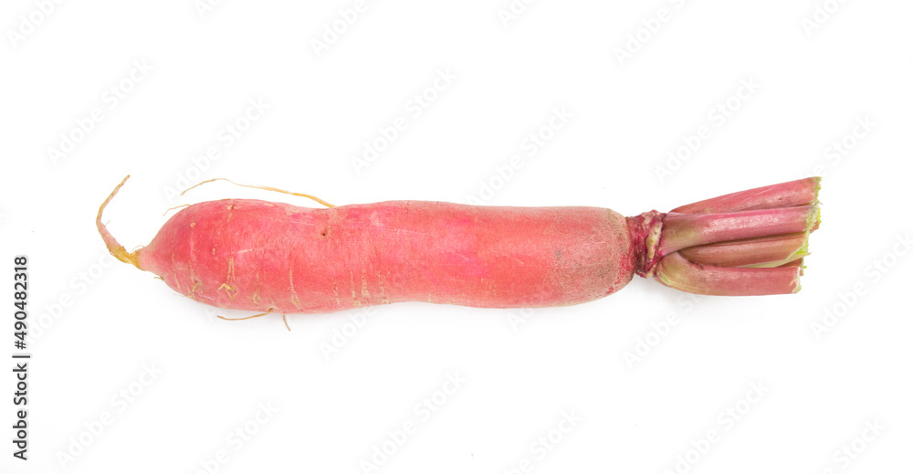 radishes isolated on white background. red radish. top view. radishes isolated on white background. red radish. top view.