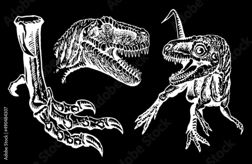 Graphical set of raptors isolated on black background,vector