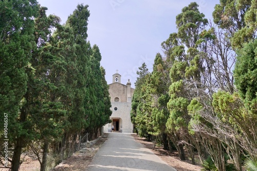 Tree alley and Betlem monastery in Arta. Majorca, Spain.