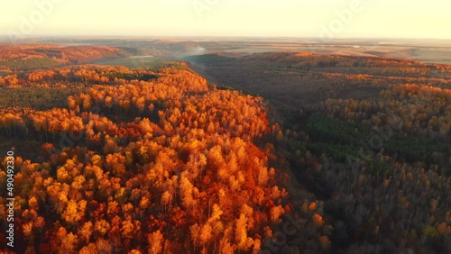 Fantastic autumn forest glows in the sunlight from a bird's eye view. Filmed in 4k, drone video.