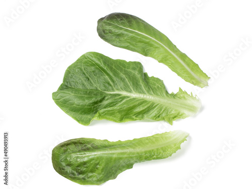 three fresh green romano lettuce leaves on a white background
