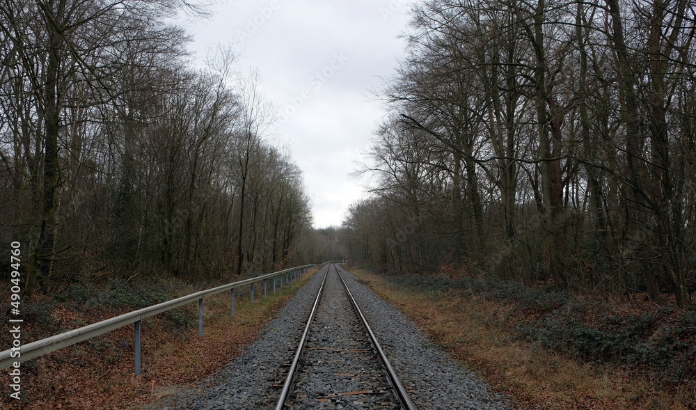 railroad track in the woods in autumn