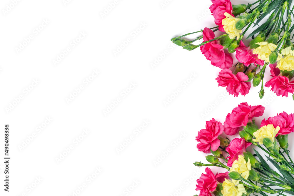 Fototapeta premium bouquet of pink carnation flower isolated on white background Top view Flat lay Holiday card 8 March, Happy Valentine's day, Mother's, Memorial, Teacher's day concept Copy space